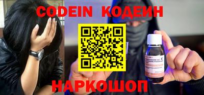 МДПВ Камышлов