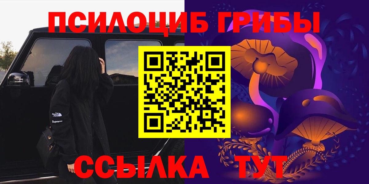 продажа наркотиков  Галлюциногенные грибы мухоморы  Курчалой  Вход с VPN  Псилоцибиновые грибы ЛСД 
