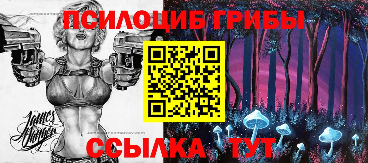 Галлюциногенные грибы мицелий Курчалой