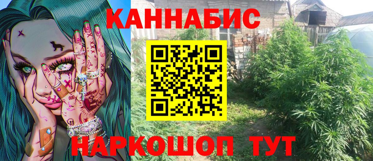 МАРИХУАНА AK-47  Бошки Шишки марихуана  Вход с VPN  Бошки марихуана тримм  Курчалой  Канабис White Widow 